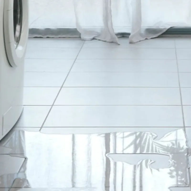 Appliance Leak Cleanup in Mulino, OR