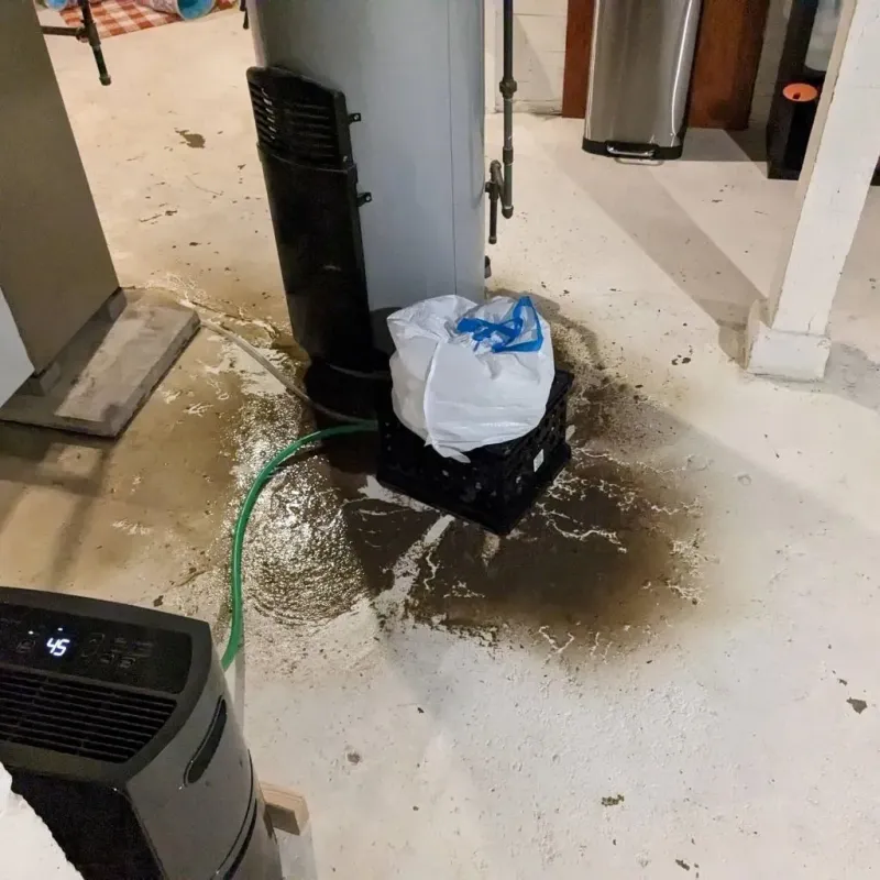 Sewage Backup Cleanup Service in Mulino, OR